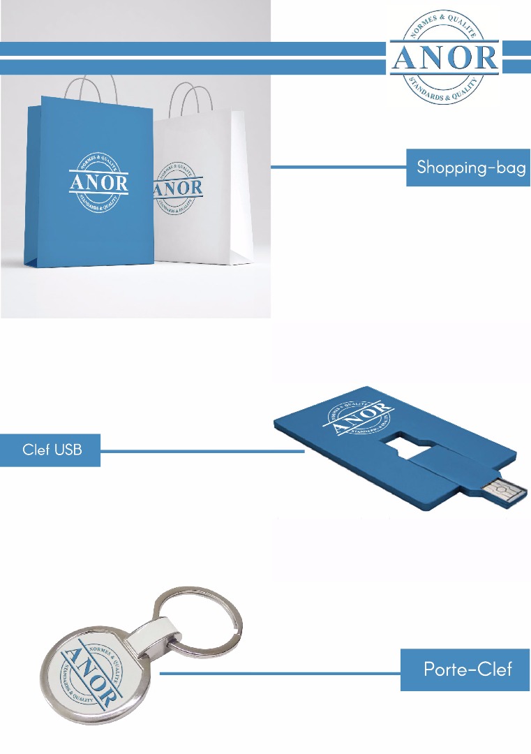Clef USB , Shopping Bag , Porte-Clef